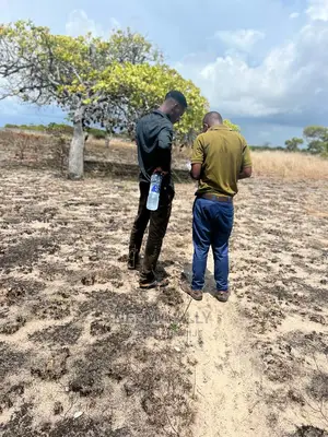 Viwanja Kwa Bei Ya Ofa (Msimu Wa Sikukuu