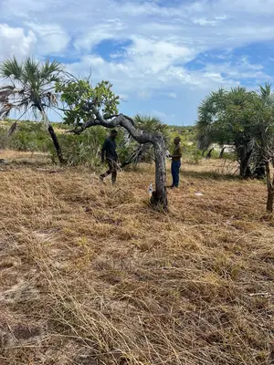 Viwanja Kwa Bei Ya Ofa (Msimu Wa Sikukuu