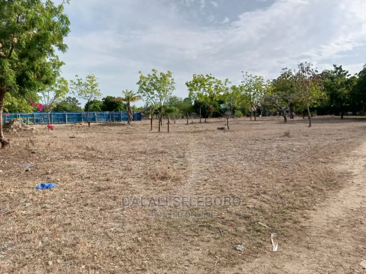 Plot Na Nyumba at Bahari Beach