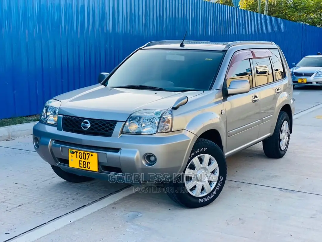 Nissan X-Trail 2004 Silver