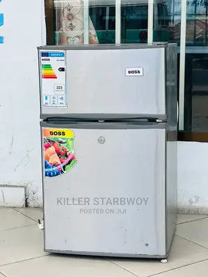 Fridge Used Lita 100