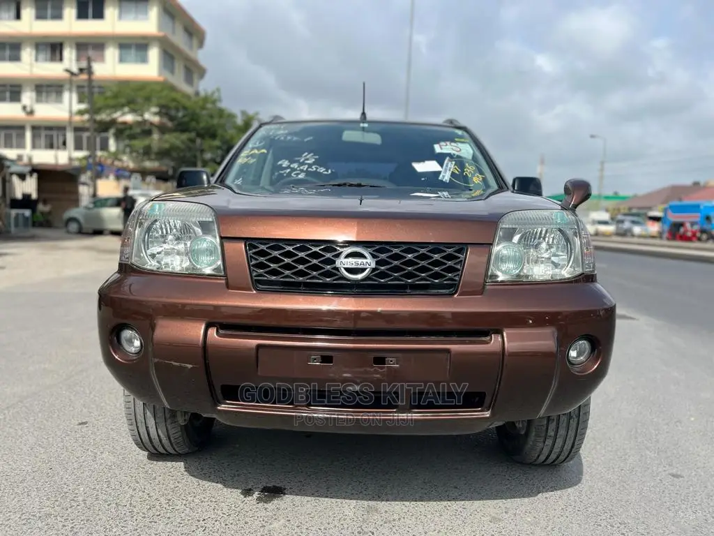 Nissan X-Trail 2005 Brown
