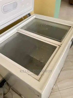 Freezer Lita 150, Ina Risit Na Warranty