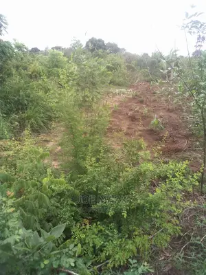 Kiwanja Kinauzwa Kibaha Picha Ya Ndege