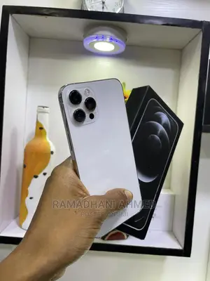 Apple iPhone 12 Pro Max 128 GB Silver