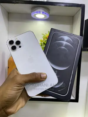Apple iPhone 12 Pro Max 128 GB Silver