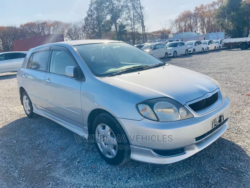 Toyota Allex 2001 Silver