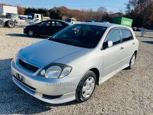 Toyota Allex 2001 Silver