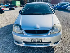 Toyota Allex 2001 Silver