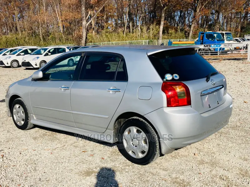 Toyota Allex 2001 Silver
