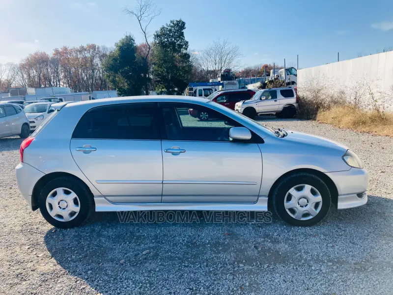 Toyota Allex 2001 Silver