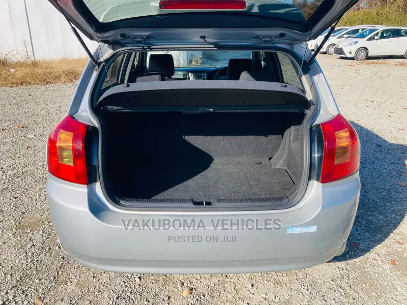 Toyota Allex 2001 Silver