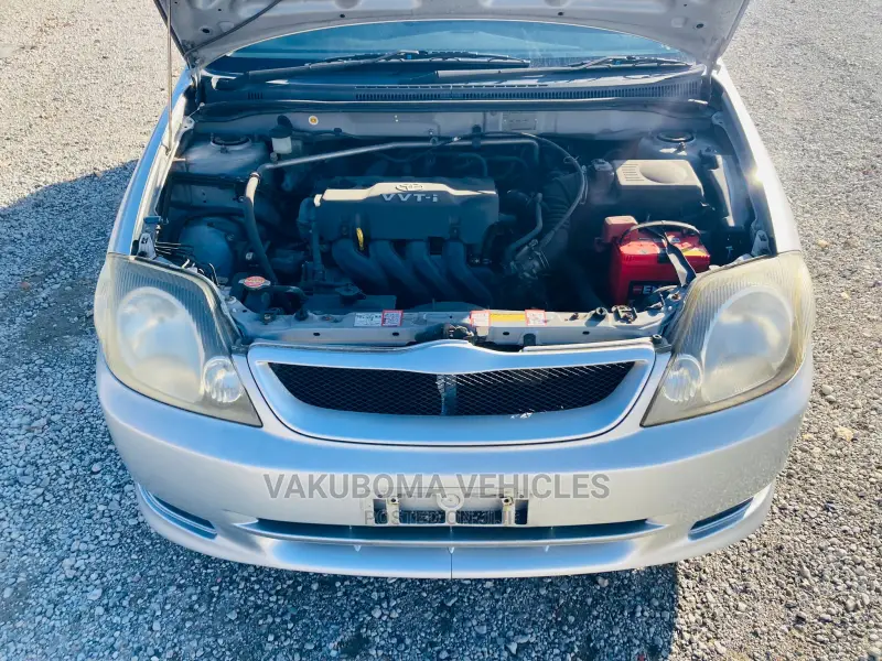 Toyota Allex 2001 Silver