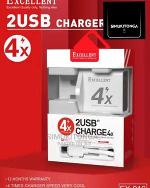 2 USB Charger