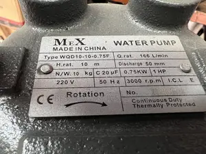 Sewage Pump