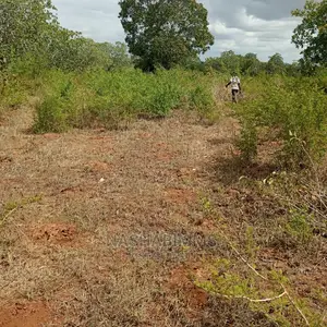 Plot for Primary School in Tanga City