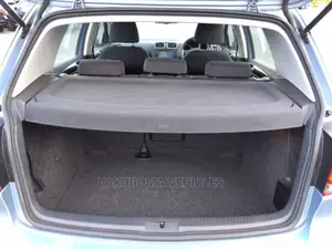 Volkswagen Golf 2010 Blue