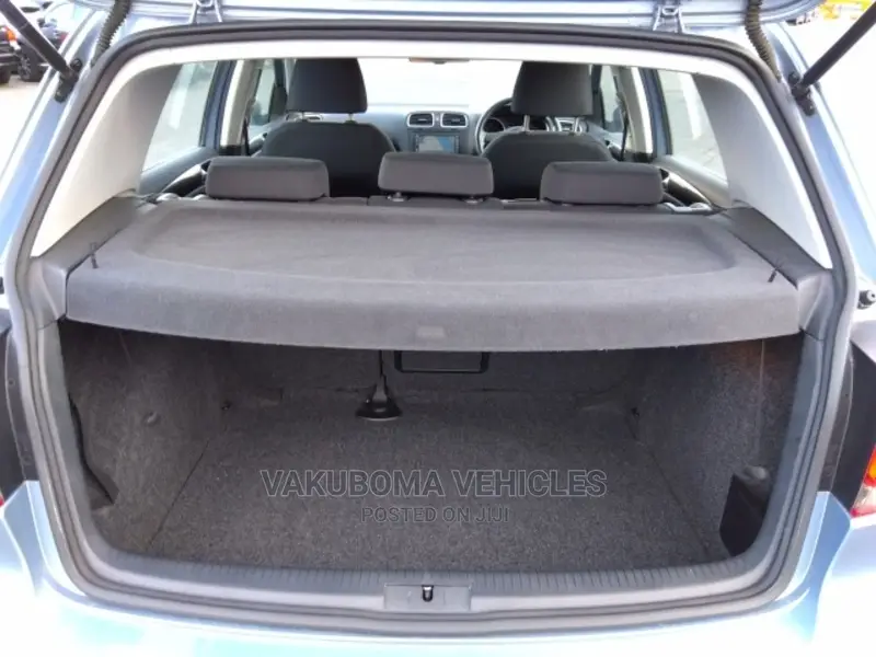 Volkswagen Golf 2010 Blue