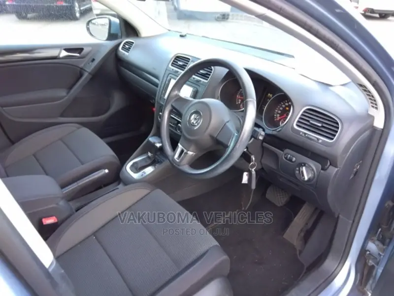 Volkswagen Golf 2010 Blue