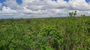Shamba Linauzwa Mbwewe Ekari 50