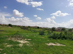 Plot For Sale Dodoma Nghong'onha