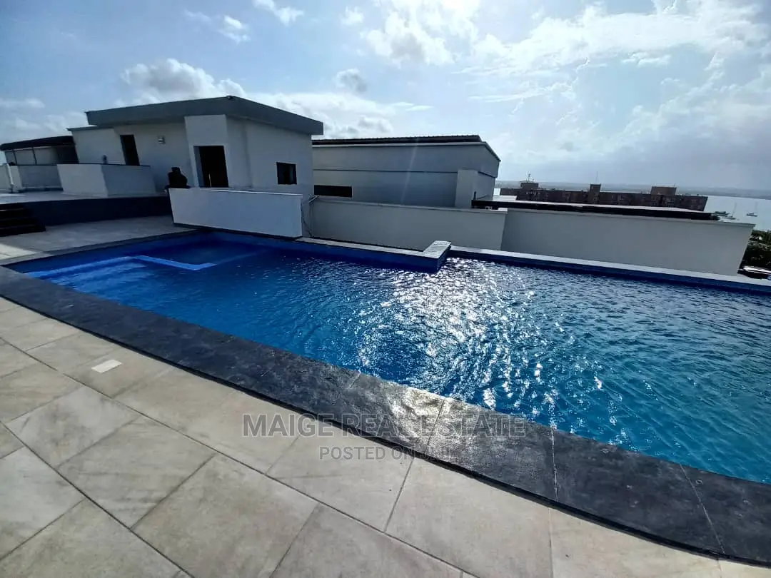 Furnished 1bdrm Apartment in Masaki for Rent