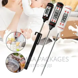 Digital Home Thermometer