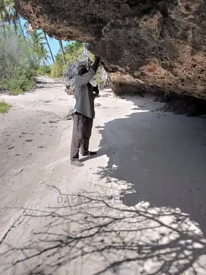 Kisiwa at Kilwa Heka 100