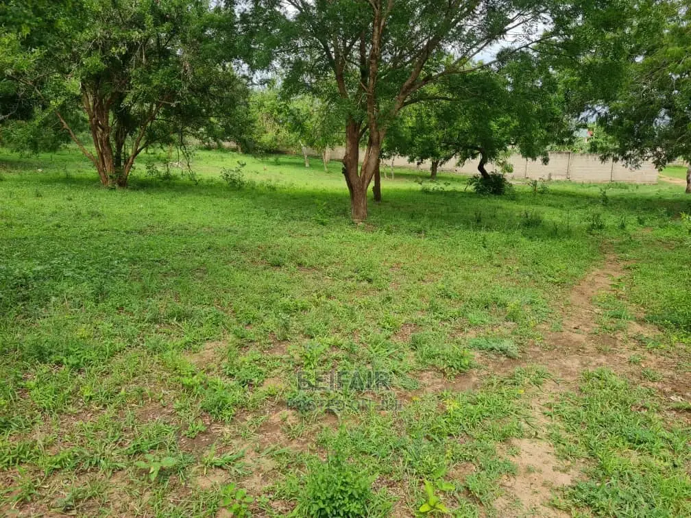 Kiwanja Kinauzwa Madale