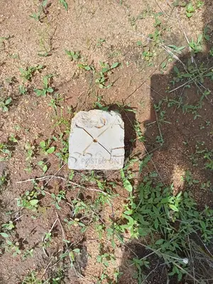 Plot For Sale Dodoma Nghong'onha