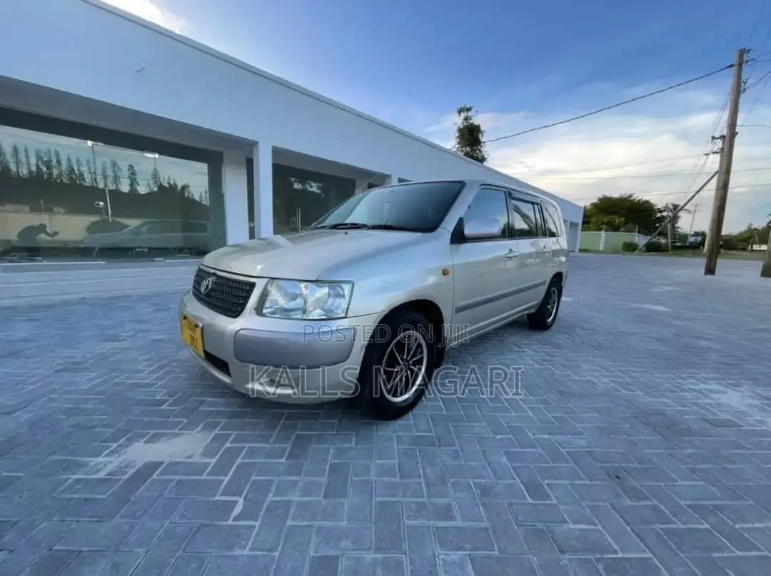 Toyota Probox 2004 Silver