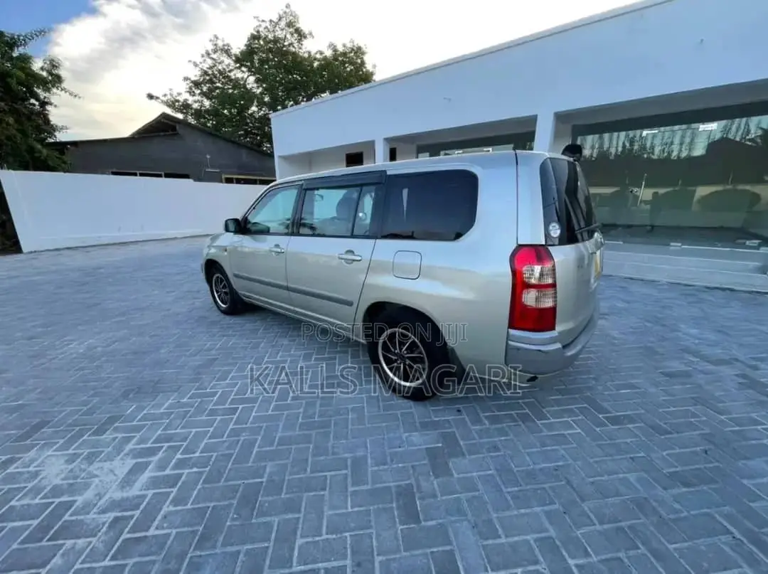 Toyota Probox 2004 Silver