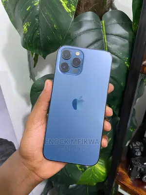 Apple iPhone 12 Pro Max 256 GB Blue