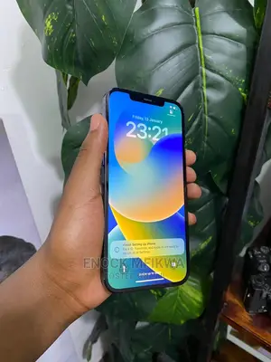 Apple iPhone 12 Pro Max 256 GB Blue