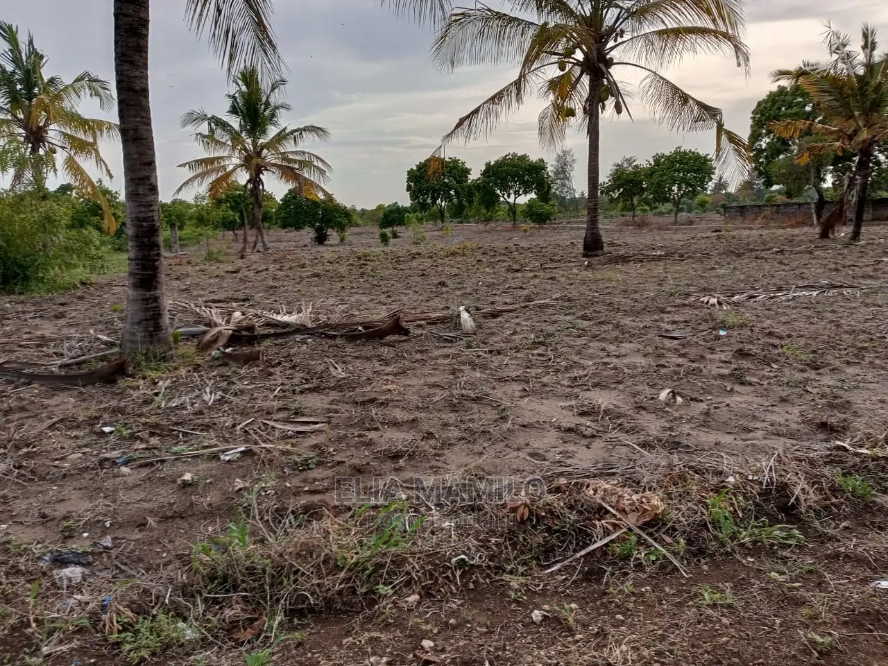 Beach Plot for Sale in Dar ES Salaam, Geza Ulole