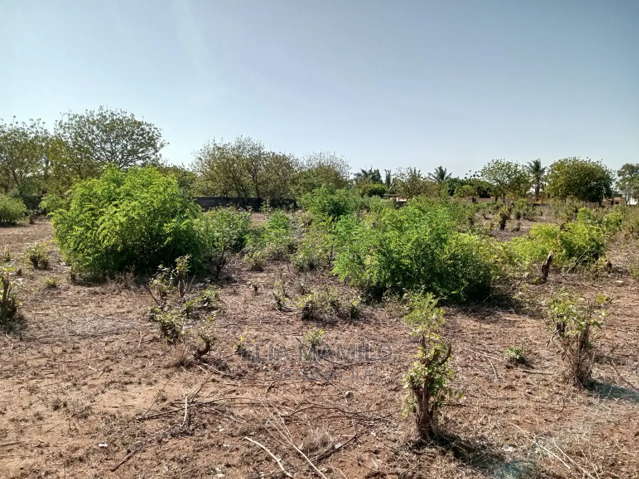 Beach Plot 2 for Sale in Dar ES Salaam, Bahari Beach.