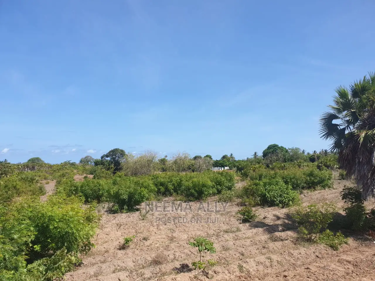 Viwanja Karibu Na Ufukwe Wa Bahari