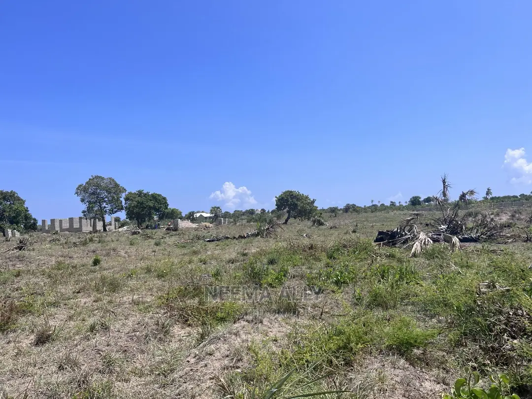 Mbutu Kichangani Beach Plots