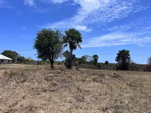 Mbutu Kichangani Beach Plots