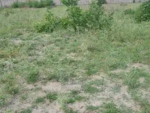 Kiwanja Kinauzwa Ununio