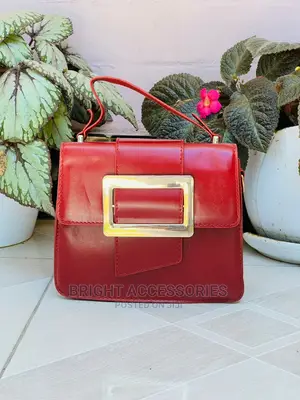 Handbags/Pochi