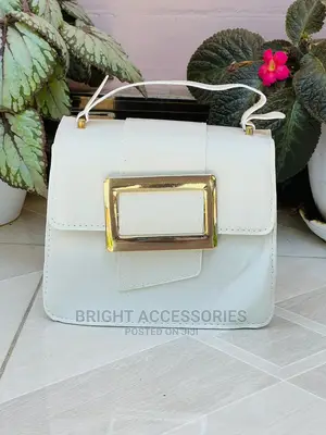 Handbags/Pochi