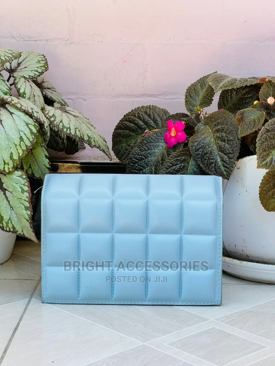 Handbags/Pochi