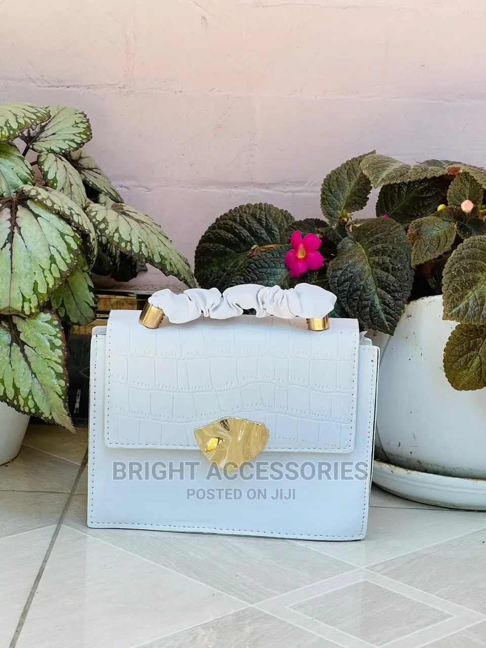 Handbags/Pochi