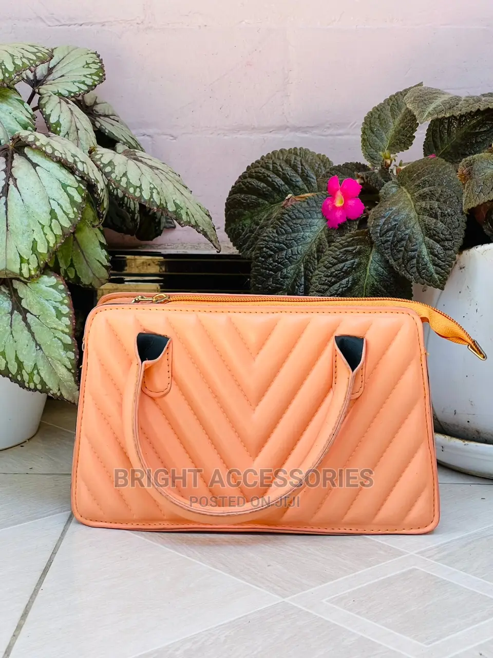 Handbags/Pochi