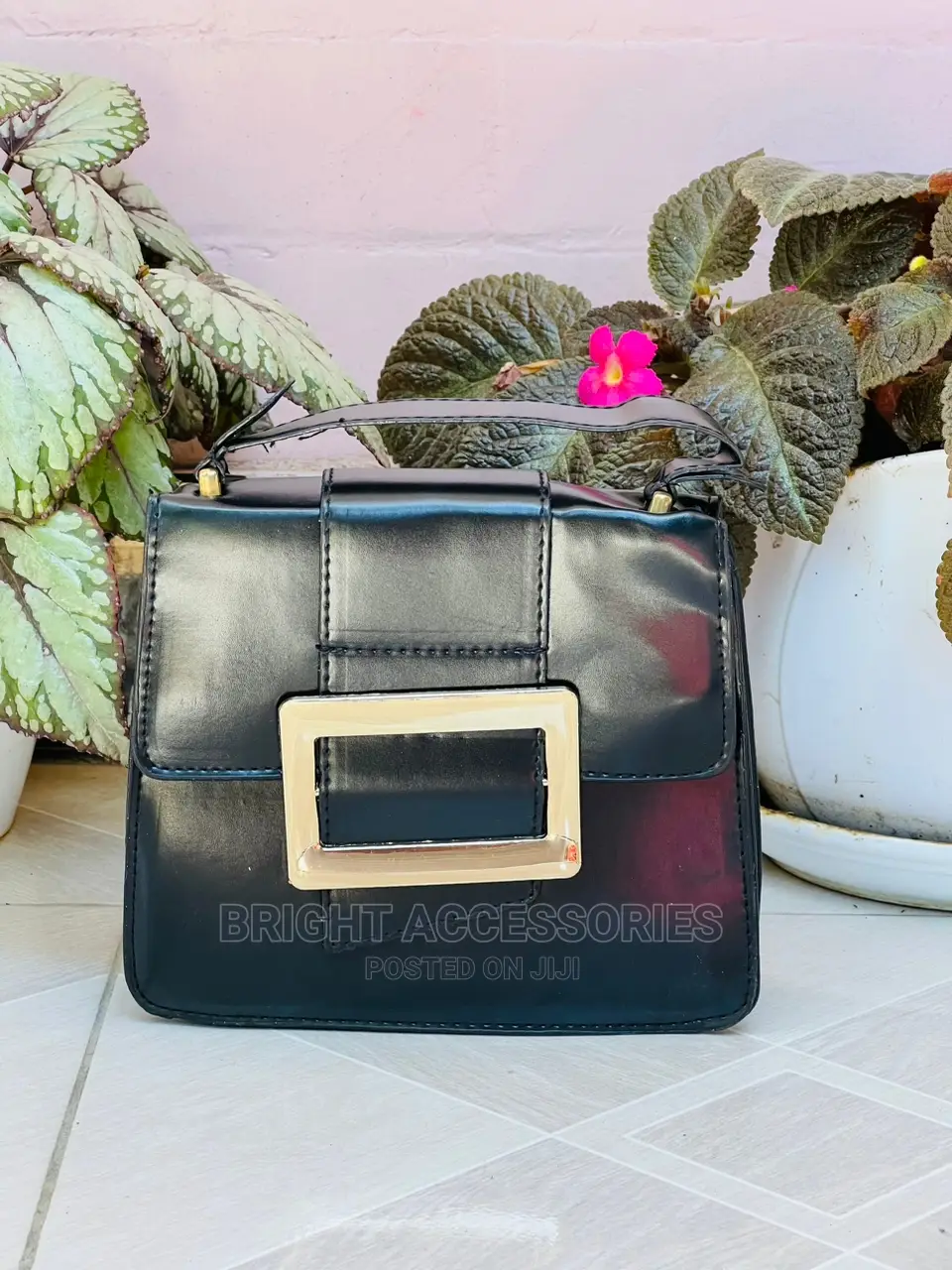 Handbags/Pochi