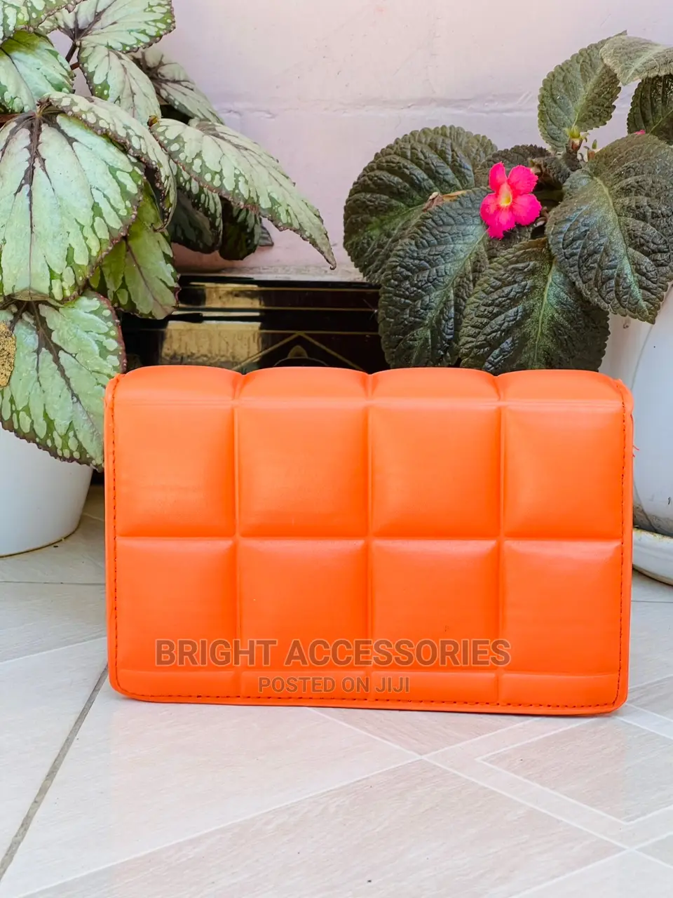 Handbags/Pochi