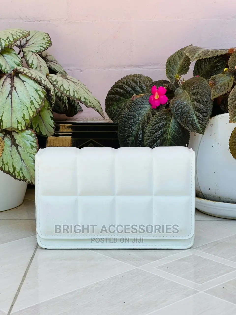 Handbags/Pochi