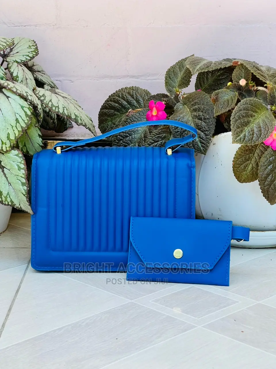 Handbags/Pochi