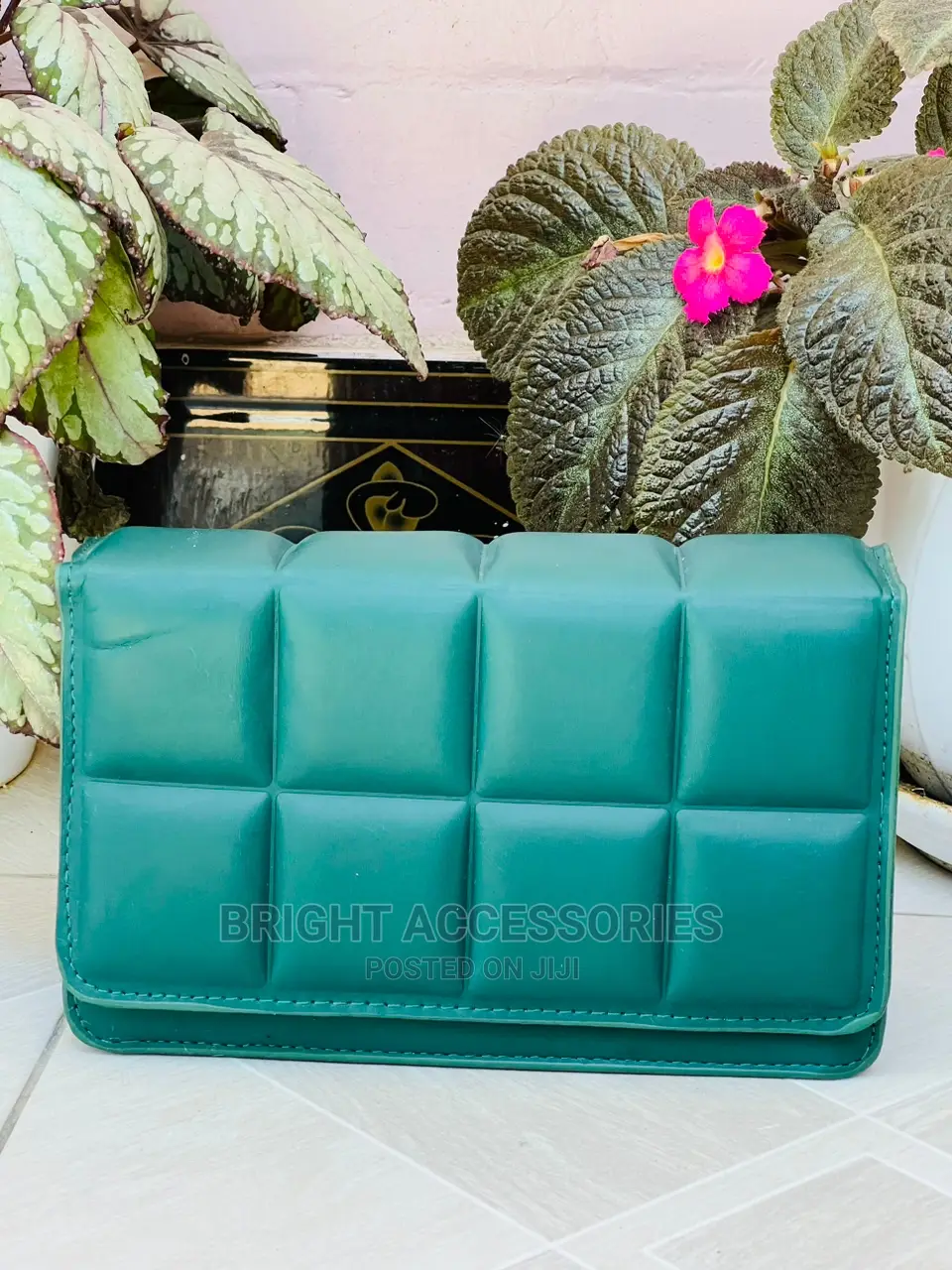 Handbags/Pochi